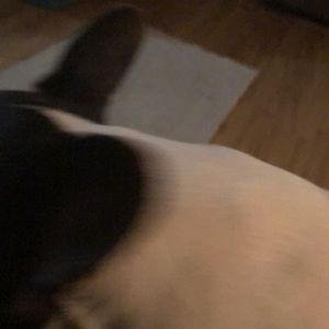 Meet your Posher, Gary